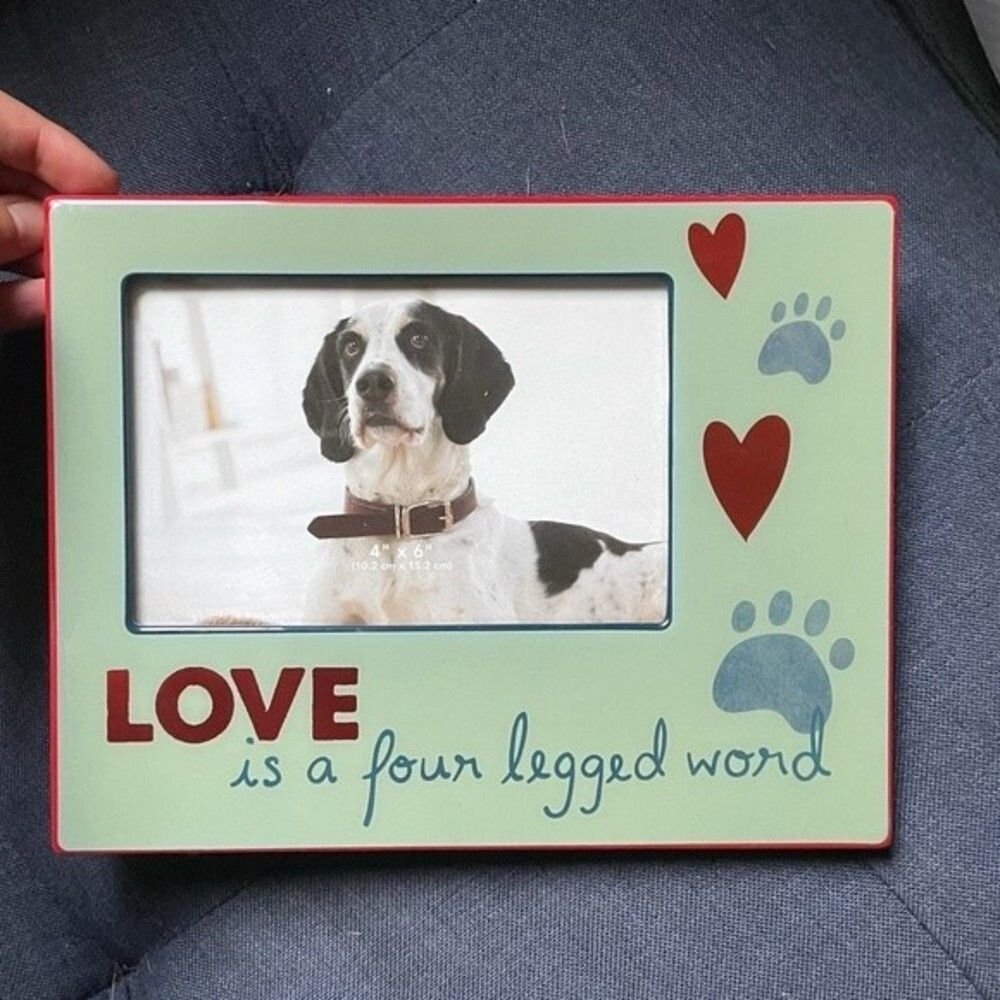 Brand new Pet picture frame